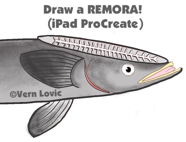 Kahawai New Zealand Fish Cartoon Retro Drawing :: Behance